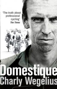 Baixar Domestique: The Real-life Ups and Downs of a Tour Pro pdf, epub, ebook