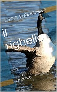 Baixar IL RIGHELLO: racconto (Nuotare Vol. 9) pdf, epub, ebook