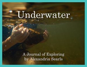 Baixar Underwater: Exploring Rivers and Streams (Journals of Exploring Book 1) (English Edition) pdf, epub, ebook