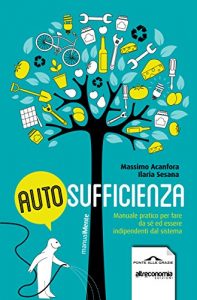 Baixar Autosufficienza: Manuale pratico per fare da sé ed essere indipendenti dal sistema (ManualMente) pdf, epub, ebook