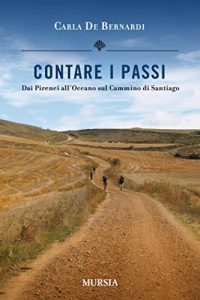 Baixar CONTARE I PASSI: Dai Pirenei all’Oceano sul Cammino di Santiago (VIAGGI, SCOPERTE E TRADIZIONI) pdf, epub, ebook