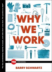 Baixar Why We Work (TED Books) (English Edition) pdf, epub, ebook