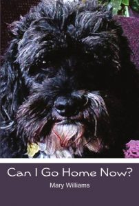 Baixar Can I Go Home Now (English Edition) pdf, epub, ebook