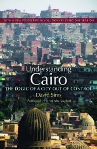 Baixar Understanding Cairo: The Logic of a City Out of Control pdf, epub, ebook