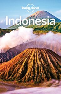 Baixar Lonely Planet Indonesia (Travel Guide) pdf, epub, ebook