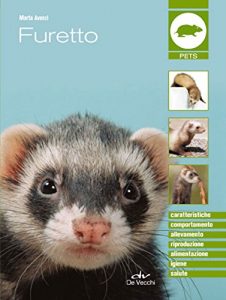 Baixar Furetto (Pets e animali da compagnia) pdf, epub, ebook