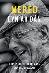 Baixar Mered: Dyn ar Dan (Welsh Edition) pdf, epub, ebook