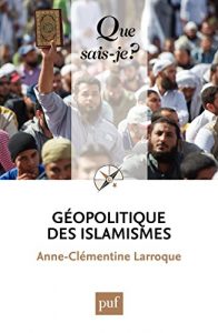 Baixar Géopolitique des islamismes: « Que sais-je ? » n° 4014 pdf, epub, ebook