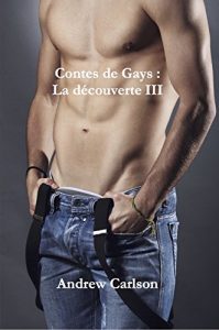 Baixar Contes de Gays : La découverte III (French Edition) pdf, epub, ebook