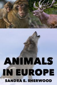 Baixar Animals In Europe – Enjoy And Learn About Your World (Kids Fun & Learn Series) (English Edition) pdf, epub, ebook