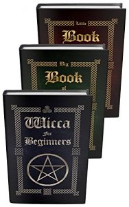 Baixar Wicca: Wicca Starter Kit (Wicca for Beginners, Big Book of Spells and Little Book of Spells 4) (English Edition) pdf, epub, ebook