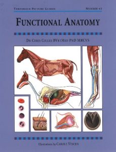 Baixar FUNCTIONAL ANATOMY (Threshold Picture Guides) pdf, epub, ebook