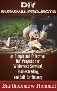 Baixar DIY Survival Projects: 44 Simple and Effective DIY Projects for Wilderness Survival, Homesteading, and Self-Sufficiency (English Edition) pdf, epub, ebook
