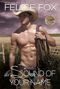 Baixar The Sound Of Your Name (Cameron Ranch Series Book 2) (English Edition) pdf, epub, ebook