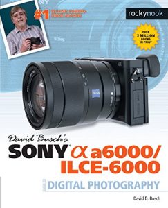 Baixar David Busch’s Sony Alpha a6000/ILCE-6000 Guide to Digital Photography pdf, epub, ebook