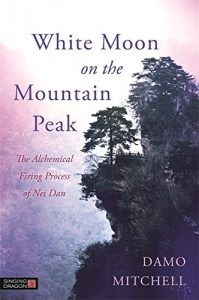 Baixar White Moon on the Mountain Peak: The Alchemical Firing Process of Nei Dan (Daoist Nei Gong) pdf, epub, ebook