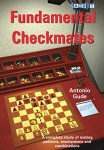 Baixar Fundamental Checkmates (English Edition) pdf, epub, ebook