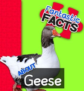 Baixar Fantastic Facts About Geese: Illustrated Fun Learning For Kids (English Edition) pdf, epub, ebook