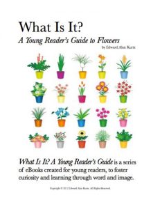 Baixar What Is It?  A Young Reader’s Guide to Flowers (What Is It? A Young Reader’s Guide Book 6) (English Edition) pdf, epub, ebook