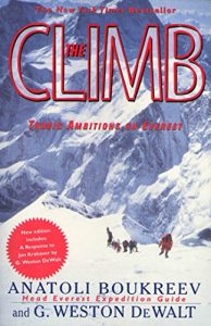 Baixar The Climb: Tragic Ambitions on Everest pdf, epub, ebook
