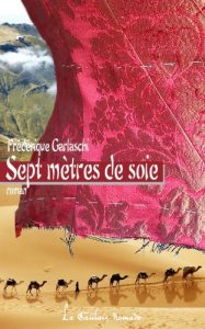 Baixar Sept mètres de soie (French Edition) pdf, epub, ebook
