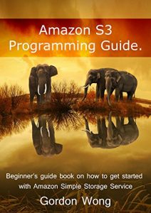 Baixar Amazon S3 Programming Guide: Beginner’s guide book on how to get started with Amazon Simple Storage Service (English Edition) pdf, epub, ebook