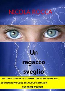 Baixar Un ragazzo sveglio pdf, epub, ebook