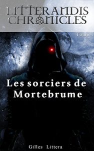 Baixar Les sorciers de Mortebrume (Litterandis Chronicles t. 1) (French Edition) pdf, epub, ebook