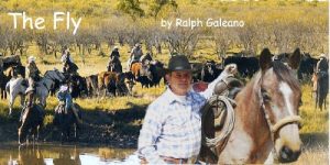 Baixar Cowboy Chatter article—The Fly (Cowboy Chatter articles) (English Edition) pdf, epub, ebook