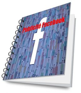 Baixar Publicité Facebook: comment faire une publicité facebook rentable (French Edition) pdf, epub, ebook