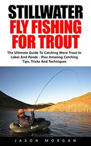Baixar Stillwater Fly Fishing For Trout: The Ultimate Guide To Catching More Trout In Lakes And Ponds – Plus Amazing Catching Tips, Tricks And Techniques! (English Edition) pdf, epub, ebook
