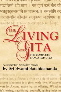 Baixar The Living Gita: The Complete Bhagavad Gita: a Commentary for Modern Readers pdf, epub, ebook