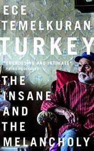 Baixar Turkey: The Insane and the Melancholy pdf, epub, ebook
