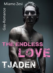 Baixar Tjaden: The endless love (German Edition) pdf, epub, ebook