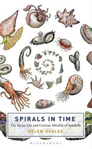 Baixar Spirals in Time: The Secret Life and Curious Afterlife of Seashells pdf, epub, ebook