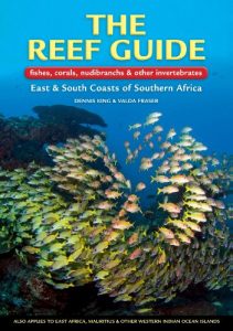 Baixar The Reef Guide: fishes, corals, nudibranchs & other vertebrates
East & South Coasts of Southern Africa pdf, epub, ebook