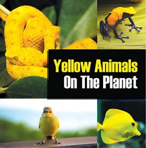 Baixar Yellow Animals On The Planet: Animal Encyclopedia for Kids (Colorful Animals on the Planet Book 4) (English Edition) pdf, epub, ebook