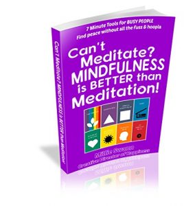 Baixar Can’t Meditate?  MINDFULNESS is BETTER than Meditation!: 7 Minute Tools for BUSY PEOPLE – Find peace without all the fuss & hoopla (7 Minute Classes for … – Mindfulness Book 1) (English Edition) pdf, epub, ebook