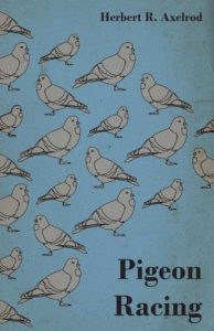 Baixar Pigeon Racing pdf, epub, ebook