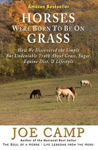 Baixar HORSES WERE BORN TO BE ON GRASS – How We Discovered the Simple But Undeniable Truth About Grass, Sugar, Equine Diet, & Lifestyle (eBook Nuggets from The Soul of a Horse 1) (English Edition) pdf, epub, ebook