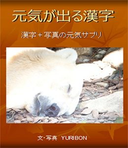 Baixar Uplifting Kanji: kanji photo book of energy enhancing supplement (Japanese Edition) pdf, epub, ebook