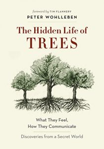 Baixar The Hidden Life of Trees: What They Feel, How They Communicate—Discoveries from a Secret World pdf, epub, ebook
