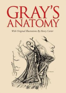Baixar Gray’s Anatomy: With Original Illustrations by Henry Carter (English Edition) pdf, epub, ebook
