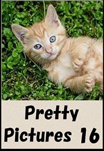 Baixar Pretty animal nature Pictures 16 (Japanese Edition) pdf, epub, ebook