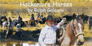 Baixar Hackamore Horses    A Cowboy Chatter Article (Cowboy Chatter Articles) (English Edition) pdf, epub, ebook