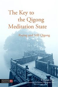 Baixar The Key to the Qigong Meditation State: Rujing and Still Qigong pdf, epub, ebook