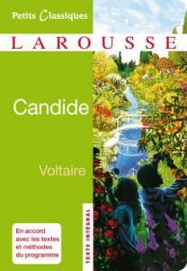 Baixar Candide (Petits Classiques Larousse t. 19) (French Edition) pdf, epub, ebook