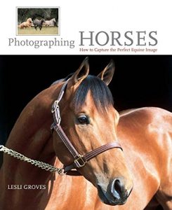 Baixar Photographing Horses: How To Capture The Perfect Equine Image pdf, epub, ebook