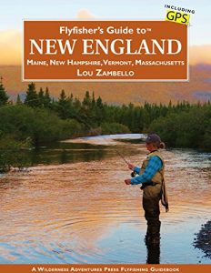 Baixar Flyfisher’s Guide to New England: Maine, New Hampshire, Vermont, Massachusetts (English Edition) pdf, epub, ebook