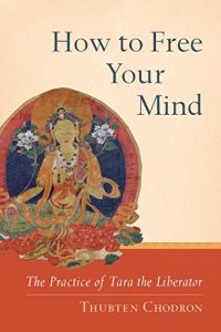 Baixar How to Free Your Mind: The Practice of Tara the Liberator pdf, epub, ebook